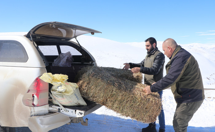 Doğudaki 8 ilde yaban hayvanları için 14 tondan fazla yem dağıtıldı