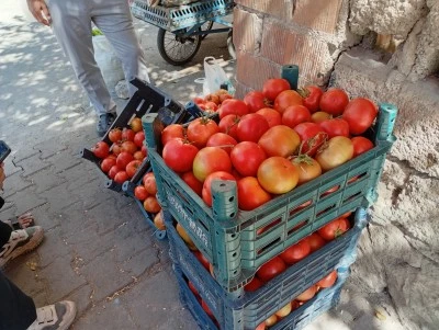Domates Fiyatıyla Dikkat Çekti