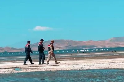 Erçek Gölü'ndeki flamingoları jandarma koruyor