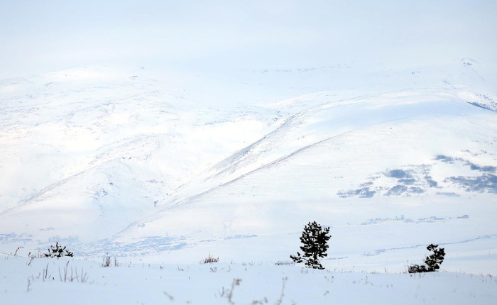 Erzurum, Kars ve Ardahan'da kar ile soğuk hava etkili oluyor
