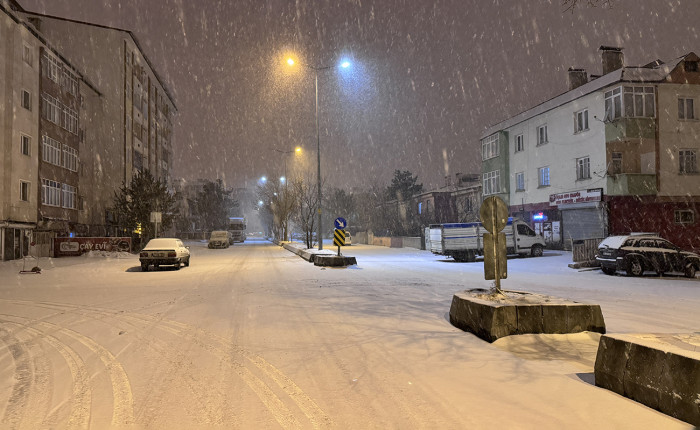Erzurum ve Kars'ta kar yağışı etkili oluyor