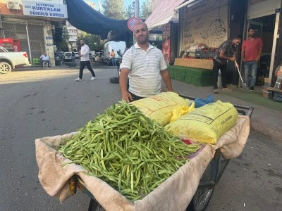 Gevaş Fasulyesi Kurtalan’da pazardaki yerini aldı