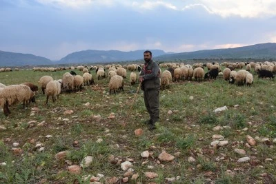 Göçerlerin Zorlu Yolculuğu Siirt’te Sona Erecek