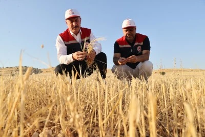 G&uuml;neydoğu'da anız yangınlarıyla m&uuml;cadele sonu&ccedil; veriyor