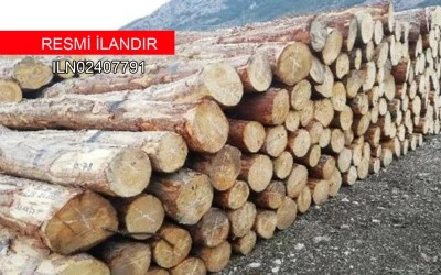 ORMANCILIK &Ccedil;ALIŞMALARININ TAKİBİ VE KONTROL&Uuml; HİZMETİ ALINACAKTIR