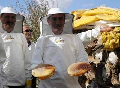 Bitlis Valisi Karakaya, karakovan balının hasadına katıldı: