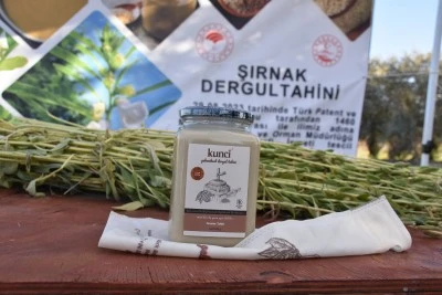 Dergul tahini tescillenince Şırnak'ta susam üretim alanı arttı