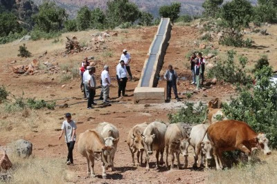 Siirt'te Mera Islah Projeleri Besicilere Nefes Oldu