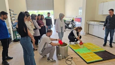 Siirt&nbsp;&Uuml;niversitesi Teknik Bilimler Meslek Y&uuml;ksekokulunda verilen eğitimlere ilişkin a&ccedil;ıklama