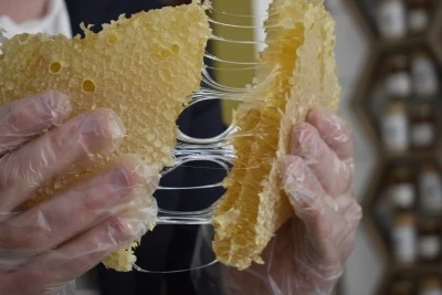 Bitlis balı, Paris'teki yarışmada ikinci kez &quot;Altın Bal&quot; ödülü aldı