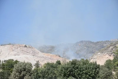  Şırnak'ta orman ve örtü yangını kontrol altına alındı