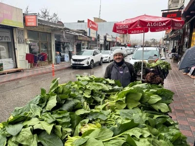 Sağlık İ&ccedil;in T&uuml;ketiliyor, Ispanak Fiyatı Dikkat &Ccedil;ekiyor
