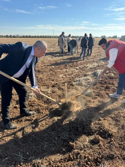 Mardin Artuklu Üniversitesi Uygulama Bahçesi'nde zeytin fidanı dikildi