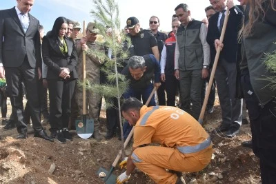 Elazığ, Şırnak ve Bingöl'de fidanlar toprakla buluşturuldu