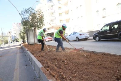 Mardin Artuklu'da alt ve üst yapı çalışmaları sürüyor