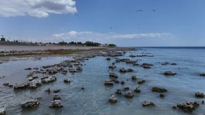 Dalgıçlar Van Gölü'nün derinliklerindeki mikrobiyalitleri görüntüledi