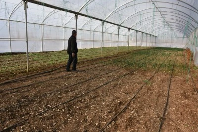 Şırnak&nbsp;kırsalında kurulan seralar tarımsal &uuml;retimi canlandırdı