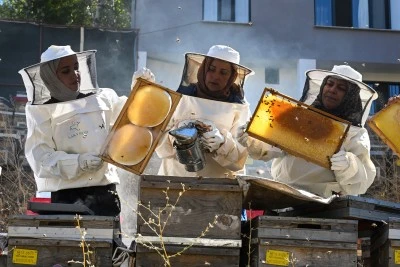 Devlet desteğiyle arıcılığa başlayan kadınlar merada kara kovan balı üretiyor