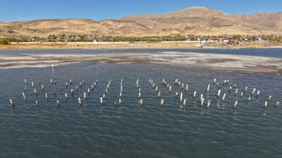 Van Gölü'nün çekilmesiyle asırlık iskelenin ayakları ortaya çıktı