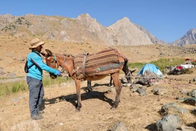 Hakkari'deki zirvelere tırmanan dağcıların ağır yükünü katırlar hafifletiyor