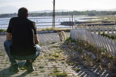 Her akşam polis lokalinin bahçesine gelen tilki, çalışanlar tarafından besleniyor