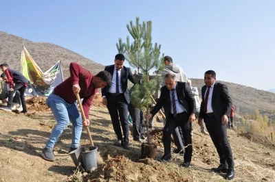 Hizan'da &quot;Sevdamız Yeşil Vatan&quot; temalı fidan dikim etkinliği düzenlendi
