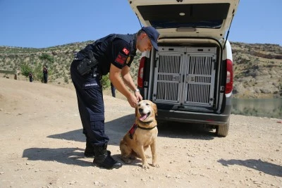 Kadavra arama köpeği &quot;Pusat&quot; jandarmanın en büyük yardımcısı