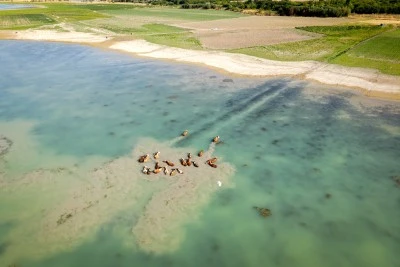Barajlarda su seviyesi kuraklık nedeniyle geriledi