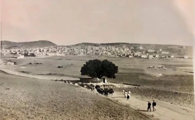 Katırların Tozlu Yolları Aştığı Günlerden Bugüne Siirt