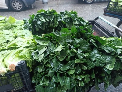 Kış Sebzelerine Talep Arttı!