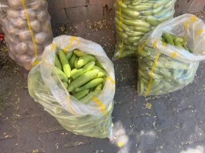 Kışlık Turşu Hazırlıkları Başladı