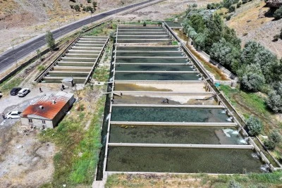 Komşu İlde &Uuml;retiliyor, Siirt&rsquo;e de G&ouml;nderiliyor: &Uuml;retimi 250 Tona &Ccedil;ıktı