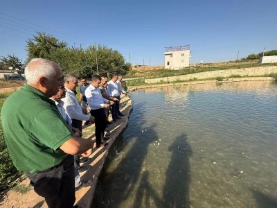 Kozluk Kaymakamı Böçkün köylerde incelemelerde bulundu