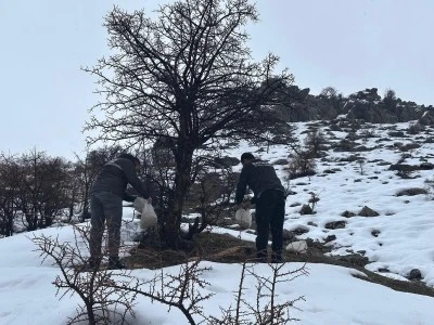 Kozluk'ta yaban hayvanları i&ccedil;in doğaya yem bırakıldı