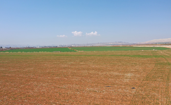 Kuraklık hububat verimini tehdit ediyor