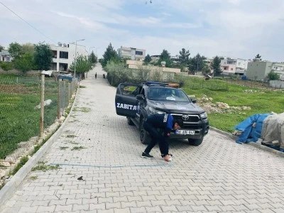 Kurtalan Belediyesi ilçenin dört bir yanındaki sokaklara yerleştiriyor