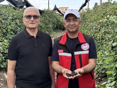 Kurtalan'da 34 Milyonluk Destekle Yeni Ürün Hamlesi!