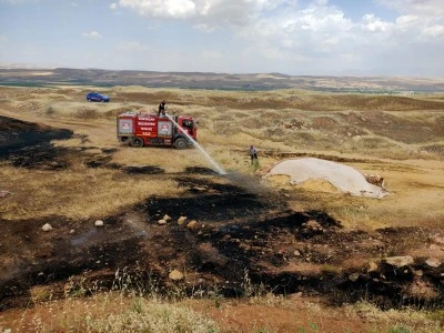 Kurtalan’da 60 dönüm buğday ekili alan yandı