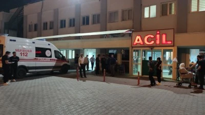 Kurtalan&rsquo;da Devrilen Otomobilin S&uuml;r&uuml;c&uuml;s&uuml; Yaralandı