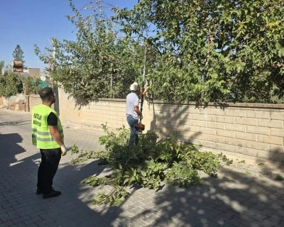 Kurtalan’da Güvenli Ulaşım İçin Budama Çalışmaları Sürüyor