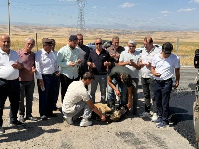 Kurtalan&rsquo;da K&ouml;y Yollarında Asfalt Mesaisi Aralıksız S&uuml;r&uuml;yor