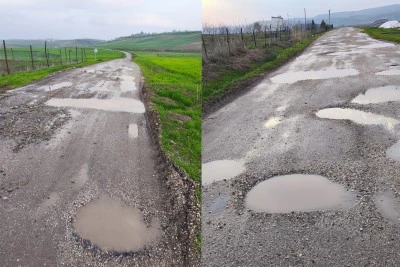 Kurtalan&rsquo;da K&ouml;y yolu k&ouml;stebek yuvasına d&ouml;nd&uuml;!