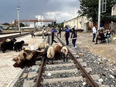 Kurtalan’da Kurbanlık Denetimleri Sıkı Tutuluyor