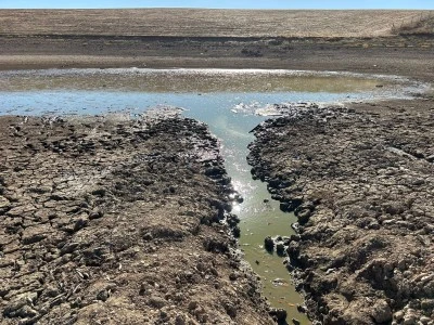 Kurtalan’da oksijensiz kalan balıklar için itfaiye harekete geçti