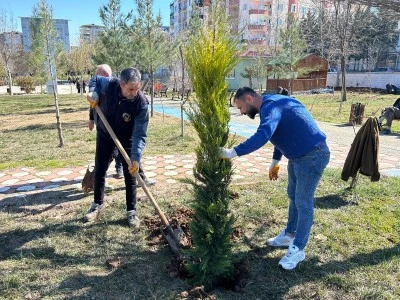 Kurtalan&rsquo;da Parklar S&uuml;s Bitkileri ve Ağa&ccedil;larla Renklendiriliyor