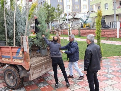 Kurtalan&rsquo;da Parklarda Ağa&ccedil;landırma &Ccedil;alışması