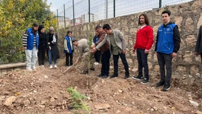 Kurtalan Gençlik ve Spor Müdürlüğü personeli fidan dikti