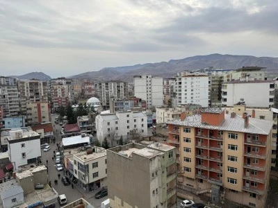 Kurtalan Kabuğunu Kıramıyor!