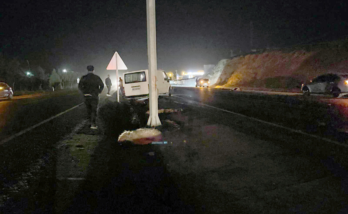Kurtalan-Siirt karayolunda feci kaza! Minibüs koyun sürüsüne daldı