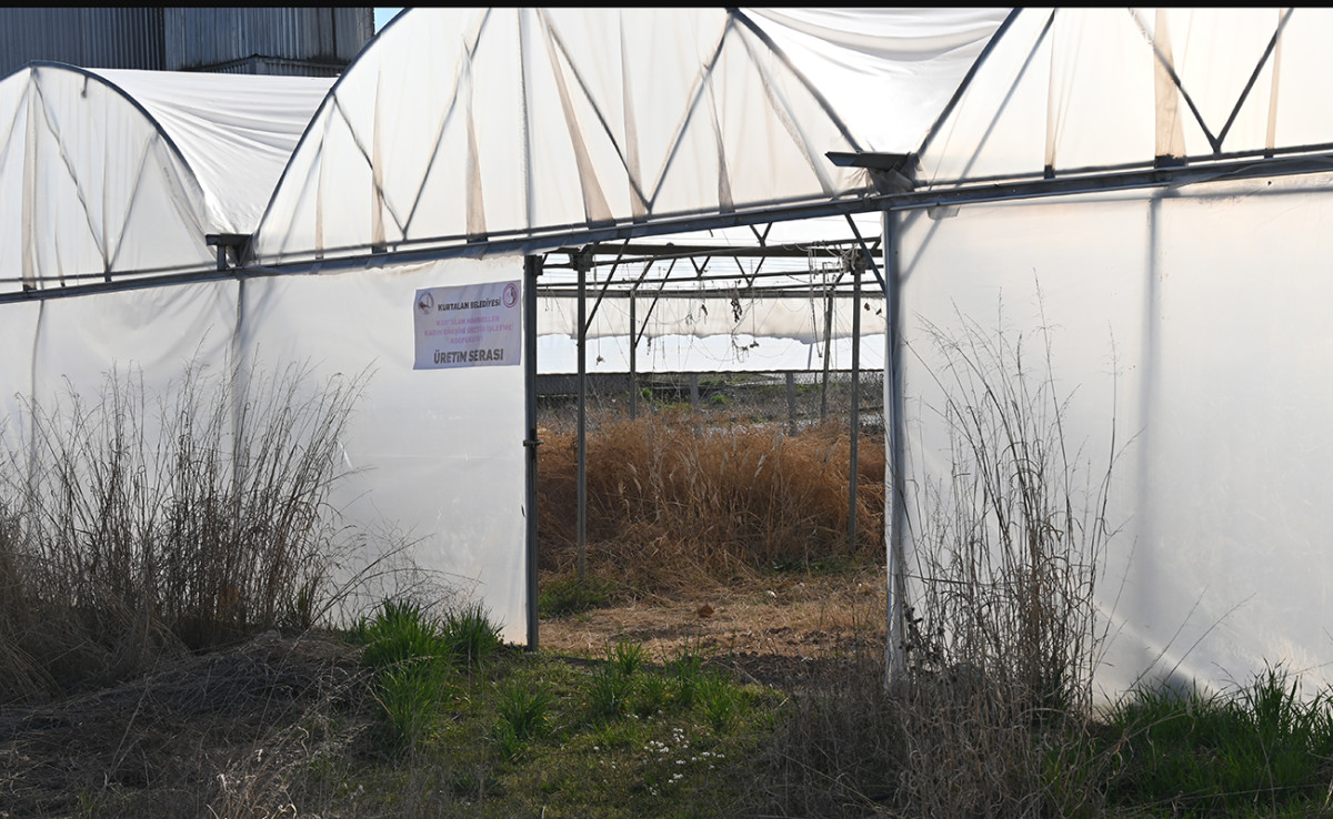 Kurtalan’da Binlerce Liraya Mal Oldu, Kaderine Terk Edildi!